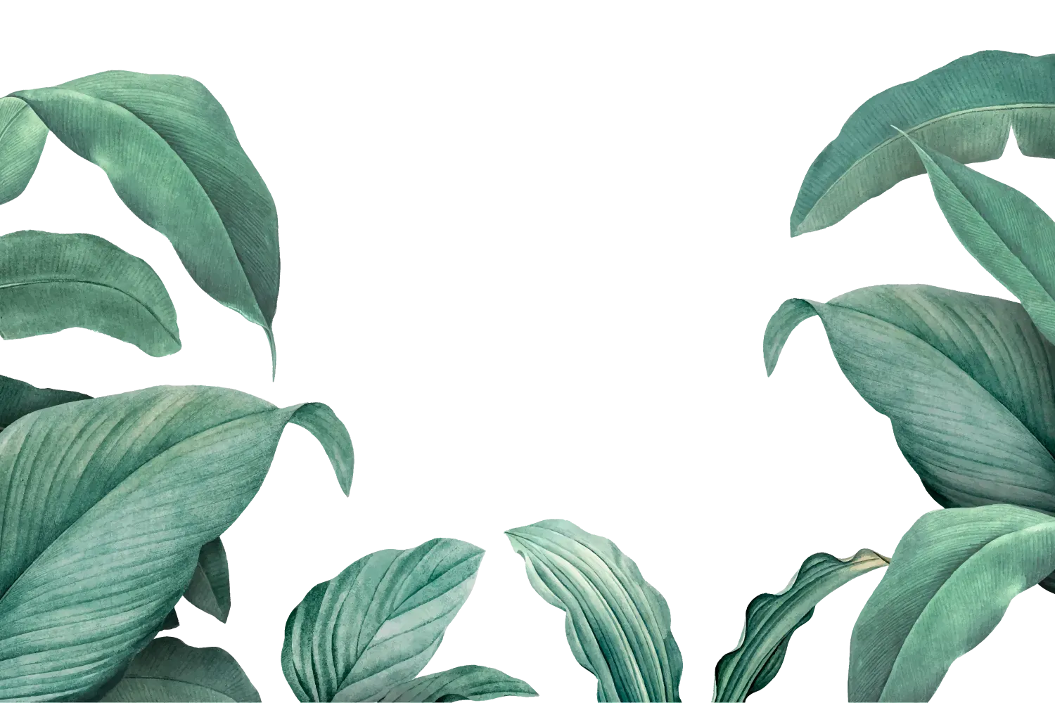 bg2